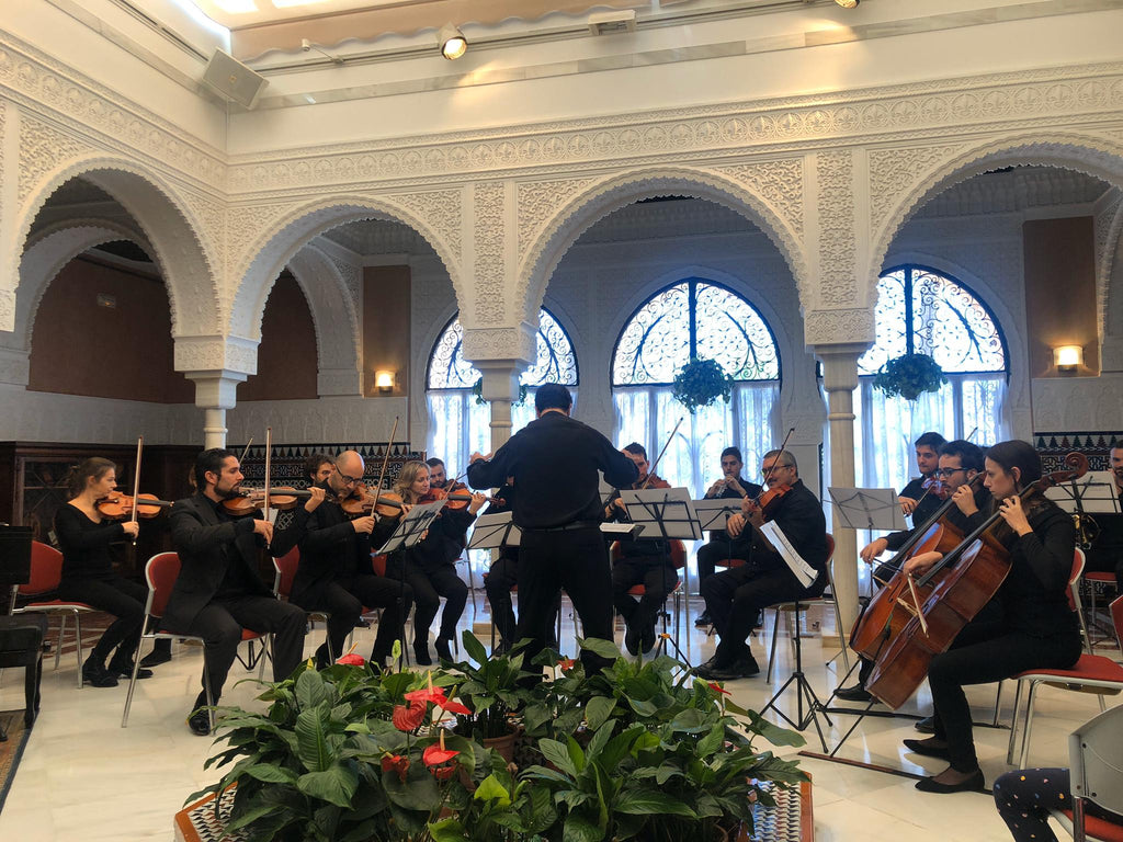 "ROMÁNTICOS Y NACIONALISTAS": IBERIAN SINFONIETTA CONTINÚA CON SU PROPUESTA EDUCATIVA
